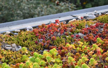the cost of Bradbourne green roof installation